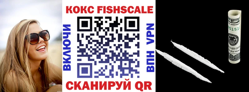 где можно купить наркотик  Отрадный  Cocaine FishScale 