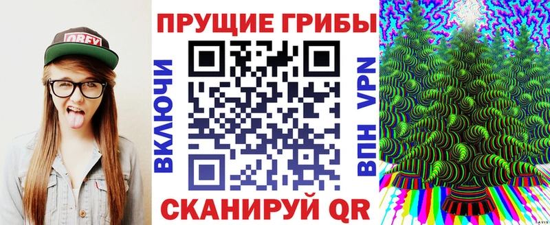 Псилоцибиновые грибы мицелий Отрадный